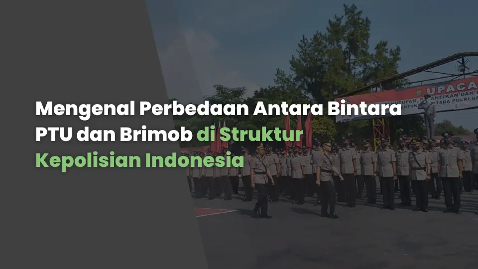 Mengenal Perbedaan Antara Bintara PTU dan Brimob di Struktur Kepolisian Indonesia