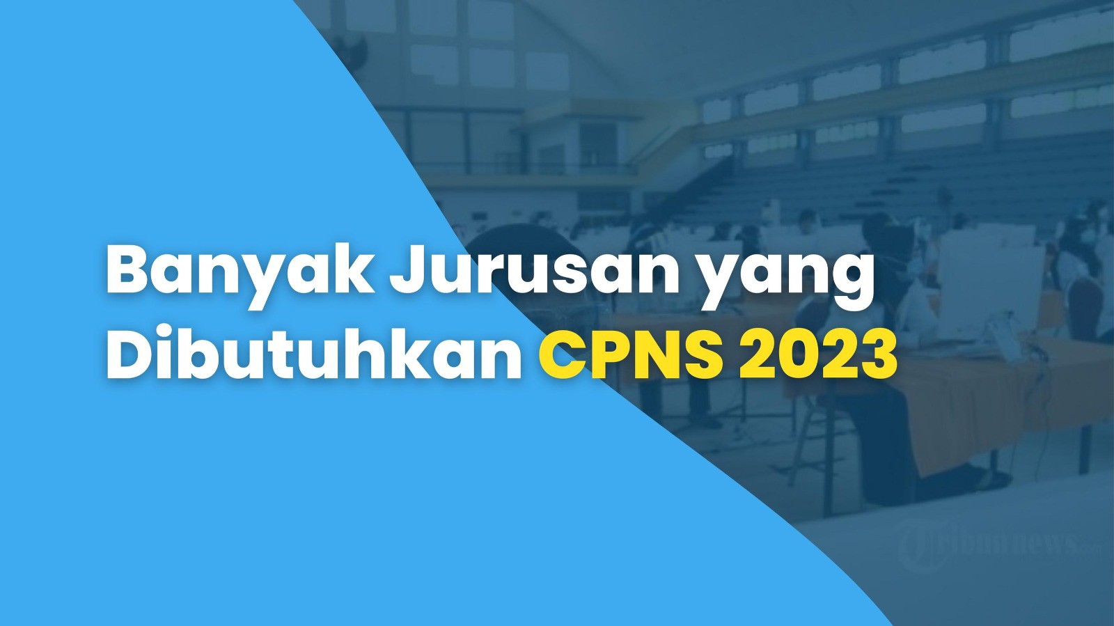 Banyak Jurusan yang Dibutuhkan CPNS 2023