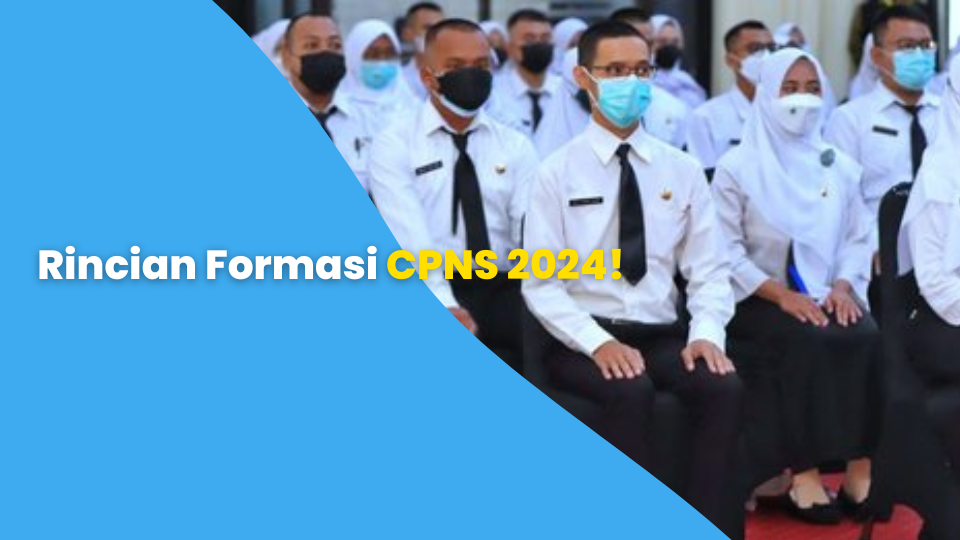 Rincian Formasi CPNS 2024!