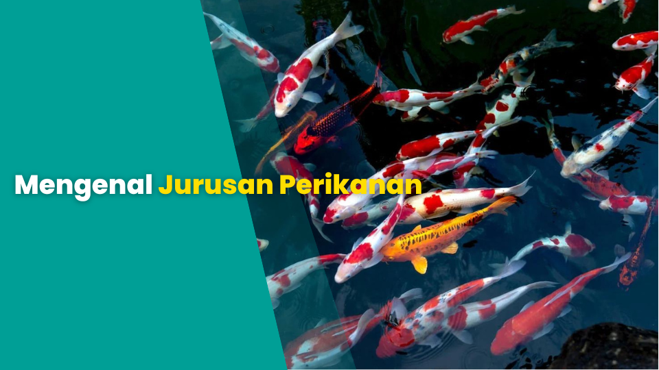 Mengenal Jurusan Perikanan