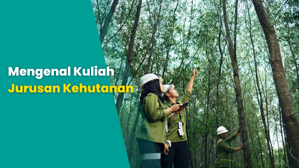 Mengenal Kuliah Jurusan Kehutanan