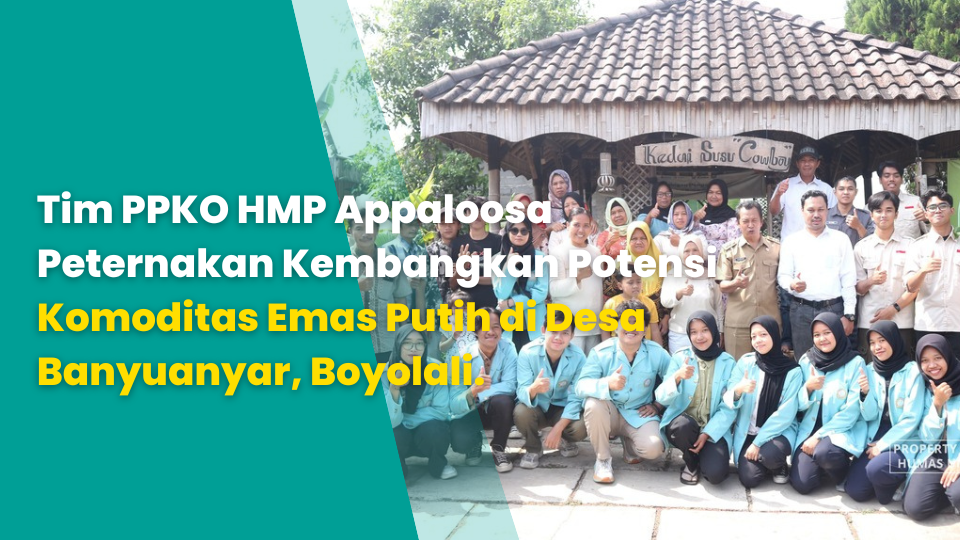 Tim PPKO HMP Appaloosa Peternakan Kembangkan Potensi Komoditas Emas Putih di Desa Banyuanyar, Boyolali.